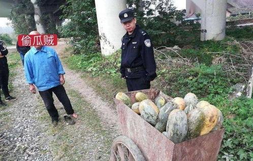 峨边县吃瓜事件真相揭秘,真相大白，还原事件始末