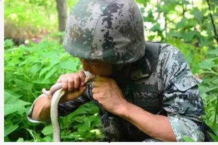 临沧野外吃瓜事件视频