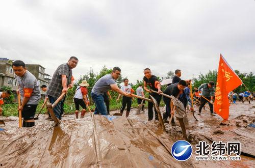 草坝镇吃瓜事件最新进展,最新进展揭示惊人内幕