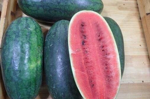 肥城市吃瓜事件真相最新,揭开真相背后的惊人内幕