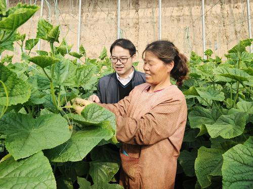 琼海吃瓜网友事件,网络舆论的风暴与反思