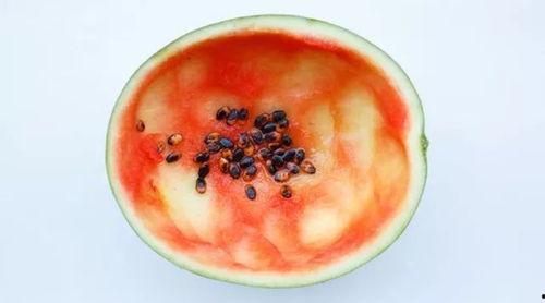 邯郸吃瓜八卦事件真相