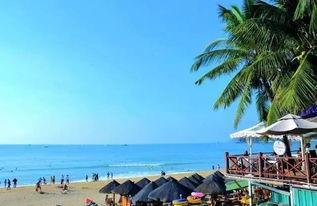 三亚旅游吃瓜事件始末是真的吗,真相揭秘与网络舆论风暴