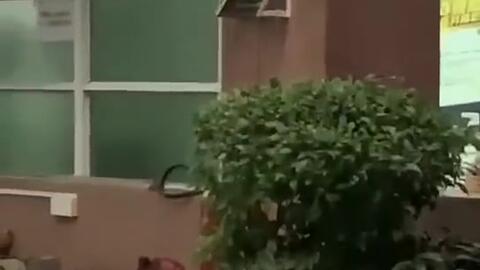 亳州最新吃瓜新闻事件真相,真相大白，疑云散去