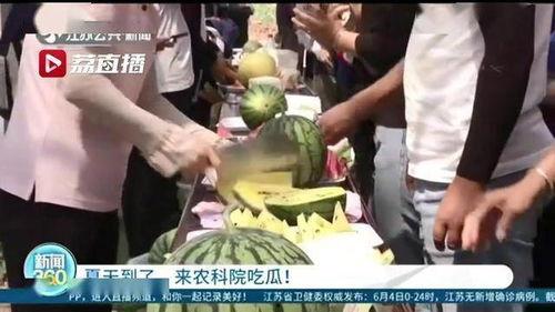 农科院吃瓜事件,一场引发社会热议的瓜田风波