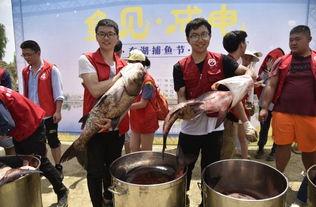 各大学校吃瓜事件群