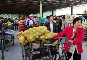 伊犁吃瓜最新事件新闻,揭秘背后真相与网络热议