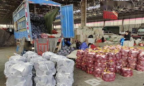 寿光地下吃瓜事件,揭秘神秘地下瓜田的秘密