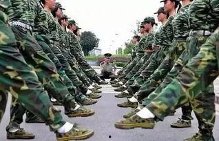 浙江军训吃瓜事件视频,校园风波背后的真相揭晓