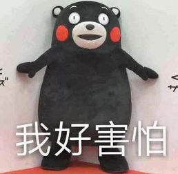 近一周吃瓜事件