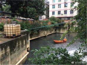 广西亭子吃瓜事件