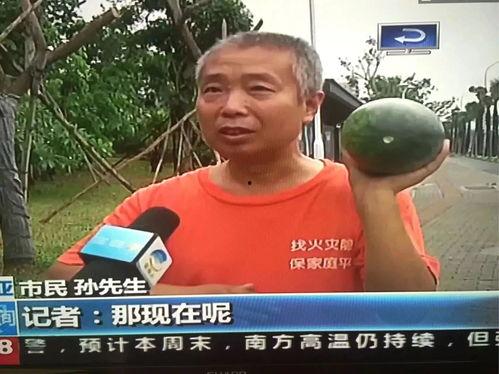 黄骅吃瓜群众事件是真的吗