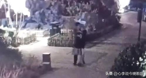 吃瓜宗门事件完整版视频,揭秘神秘宗门内部惊人真相