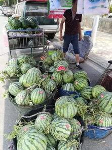 韩城吃瓜大事件真相图片,真相图片背后的惊人内幕